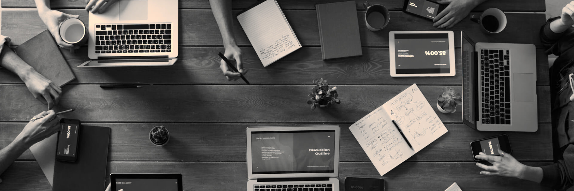 local seo consultant new zealand